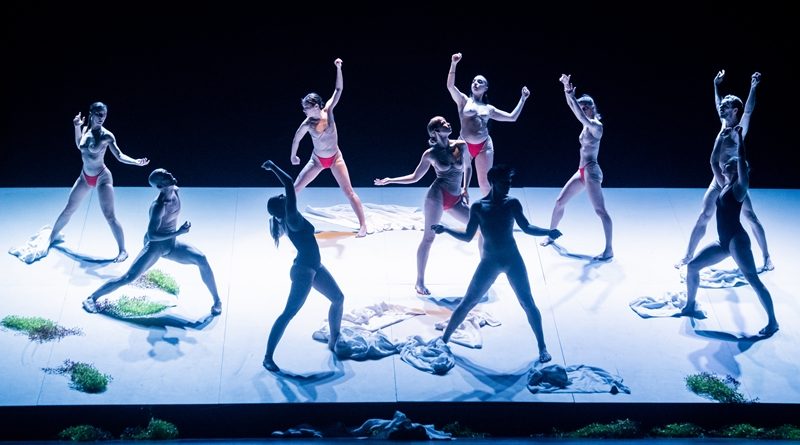 “Carmina Burana Ballet” chega com experiência sensorial inédita no Brasil “Carmina Burana Ballet” chega com experiência sensorial inédita no Brasil